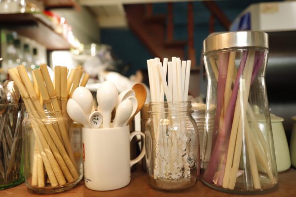 cac-loai-ong-hut-bao-ve-moi-truong-1202x800-min